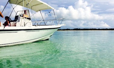 ¡Consola central Boston Whaler de 23 pies!