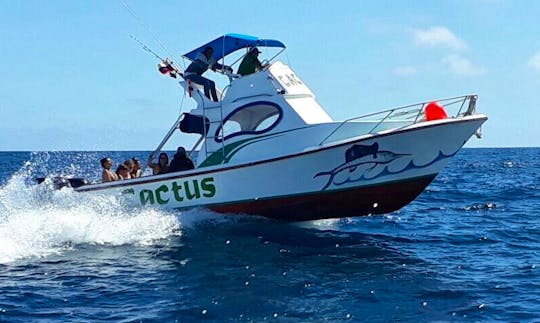 Snorkeling and Fishing Tours From Isabela Galapagos  Ecuador