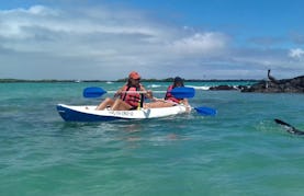 Rent a Kayak in Puerto Villamil Isabela Island Galapagos, Ecuador