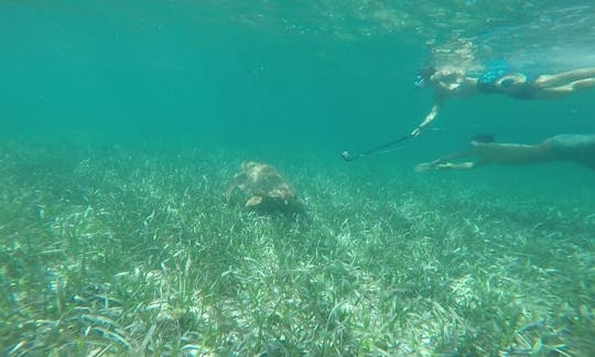 Excursão de mergulho com snorkel na cidade de Belize em nossos passeios!