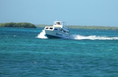 Powerboat Rental in Belize City