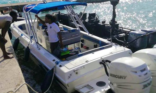 Enjoy Fishing in Fort-de-France, Martinique on Center Console
