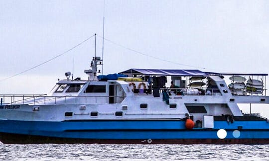 Charter 114' Passenger Boat at Mentawai Island, Siberut