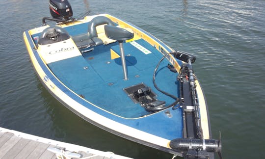 Enjoy Fishing in Ōtsu-shi, Japan on Viper Cobra Bass Boat