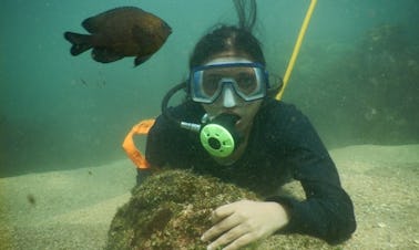 Esnórquel en Malvan, India