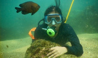 Snorkeling in Malvan, India