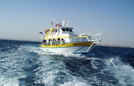 40 Persons Moawd 1 Yacht Diving Trips  Courses in Hurghada