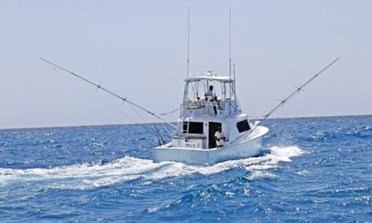 Fishing and Diving Boat in Punta Cana, Dominican Republic