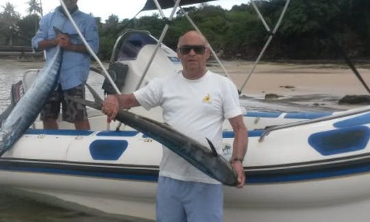 Charter Rigid Inflatable Boat in Nacala, Mozambique