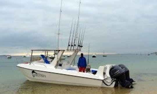 Enjoy Fishing in Vilanculos, Mozambique on 27' Sailfish Center Console