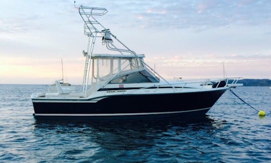 Enjoy Fishing in Playa Flamingo, Costa Rica on 32' Blackfin Sport Fisherman