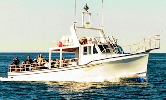 Charter Tours On 42' Fiberglass Transport Yacht In Saint Petersburg