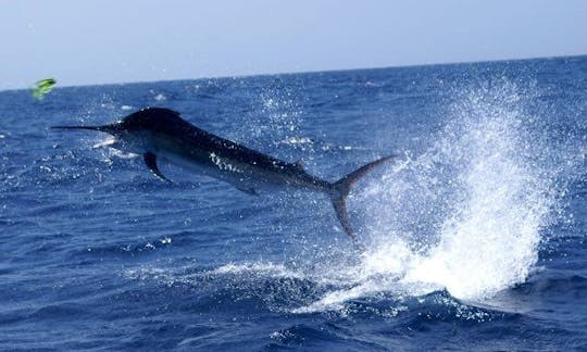 Disfruta de la pesca en Shimoni, Kenia, en el Kamara II Sport Fisherman de 42 pies