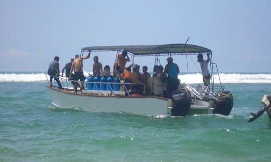 Disfrute de viajes y cursos de buceo en Hikkaduwa, Sri Lanka