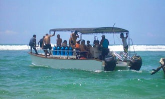 Enjoy Diving Trips and Courses in Hikkaduwa, Sri Lanka