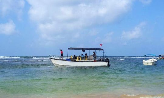 Disfrute de viajes y cursos de buceo en Hikkaduwa, Sri Lanka