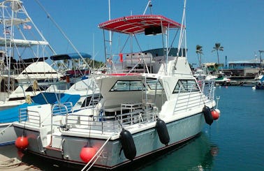 Custom SeaHawk 36ft Passenger Boat Charter for an Amazing Day in Kailua-Kona, Big Island of Hawaii!!