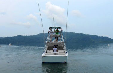 Sport Fishing Charter on  31’ Bertram Yacht in Golfito, Puntarenas