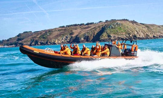 RIB Wildlife Tours in Guernsey, Channel Islands