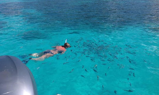 Power Catamaran seychelles