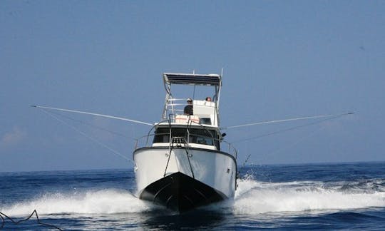 Aproveite a pesca em Saint-Gilles les Bains, Reunião no Oceana 2 Sport Fisherman