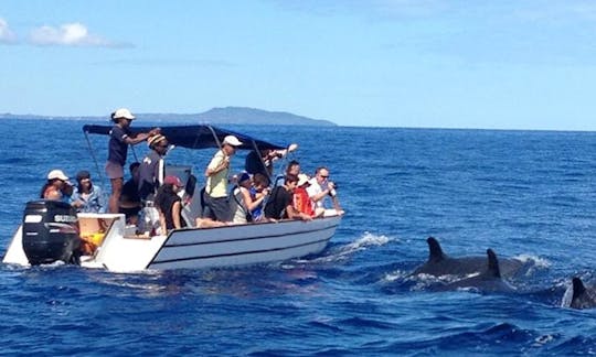 10 People Center Console Charter in Antsiranana Province, Madagascar