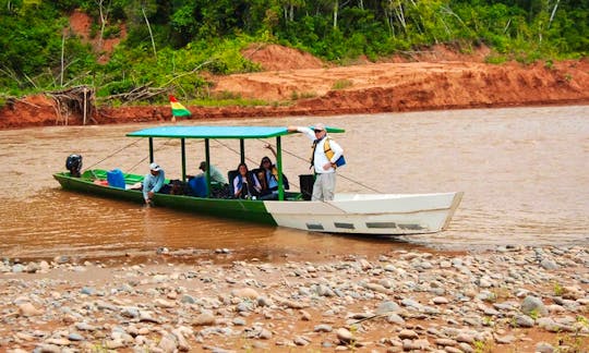 Jungle Boat Tour In Rurrenabaque