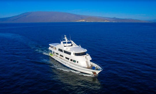 Charter 104' Tip Top III Power Mega Yacht in Quito, Ecuador