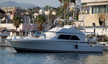 Enjoy Fishing in Baja California Sur, Mexico on 50' Bertram Sport Fisherman