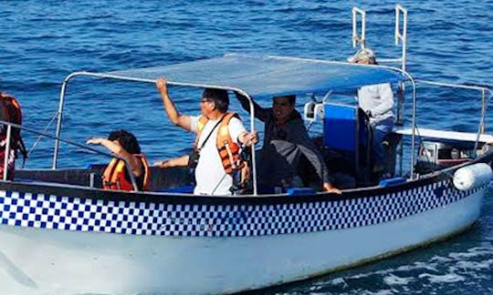 Whale Watching Tour Boat In Peru