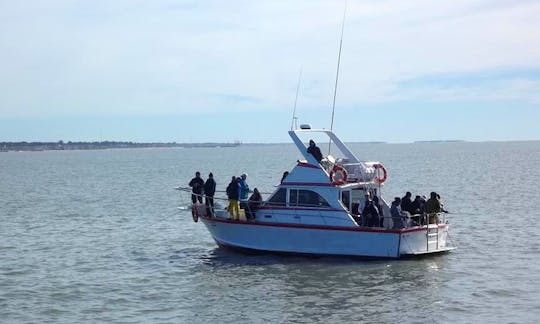 Sport Fisherman Fishing Charter in Mar del Plata, Argentina