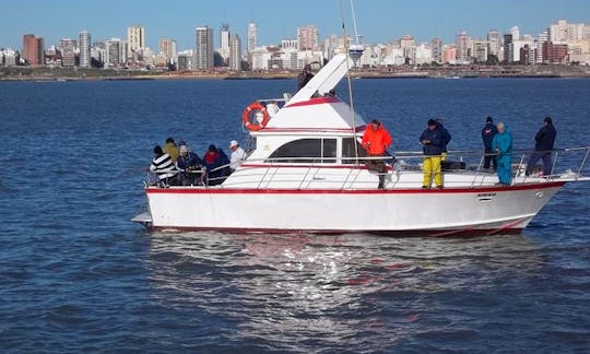 Sport Fisherman Fishing Charter in Mar del Plata, Argentina