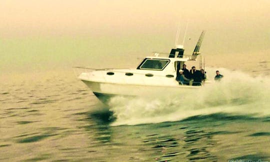 Enjoy Fishing in Cape Town, Western Cape with Captain Wickus