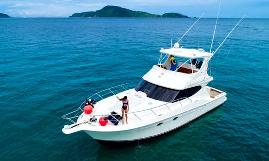 Sport-fishing yacht Silverton 50' in Phuket