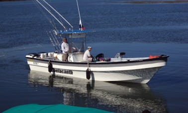 パナマのボカチカでの5人用センターコンソールでの沿岸および沖合での釣り