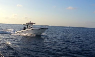 Encounter Memorable Fishing with 10 Person Fishing Boat in Male, Maldives on Center Console