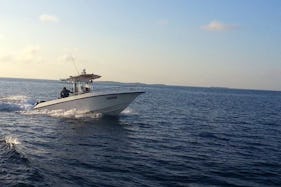 Encounter Memorable Fishing with 10 Person Fishing Boat in Male, Maldives on Center Console