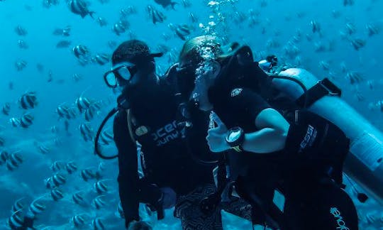 Enjoy Diving Trips and Lessons in Malé, Maldives