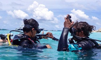 Enjoy Diving Trips and Lessons in Malé, Maldives