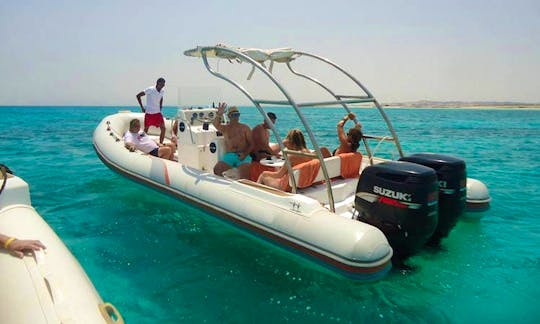 Explore the Red Sea Governorate, Egypt by RIB Charter