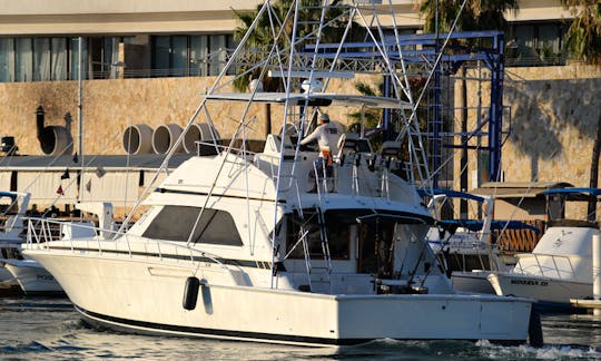 Enjoy Fishing in Baja California Sur, Mexico on 50' Bertram Sport Fisherman