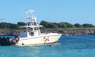 Profitez de la pêche à Grande-Terre, en Guadeloupe, sur une console centrale