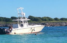 Enjoy Fishing in Grande-Terre, Guadeloupe on a Center Console