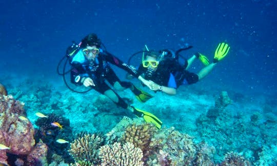 Enjoy Diving Trips in Addu City, Maldives