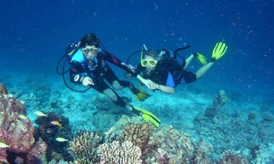 Enjoy Diving Trips in Addu City, Maldives