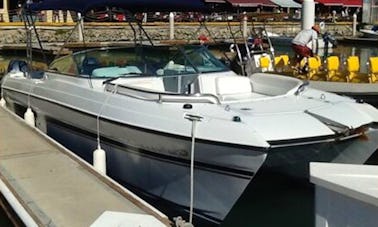 Alquiler de catamarán a motor de 20' en Cabo San Lucas, Baja California Sur