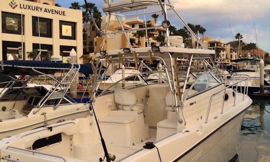 Enjoy a Guided Boat Tour around Cabo San Lucas on a Motor Yacht