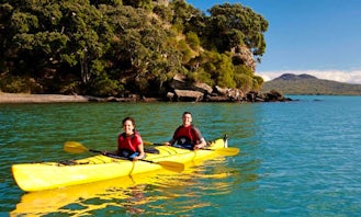 Sea Kayak Rentals & Tours in Auckland
