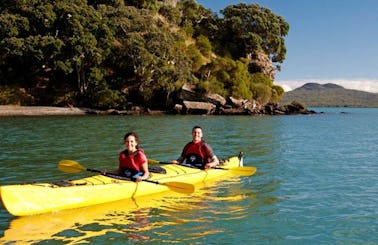 Sea Kayak Rentals & Tours in Auckland