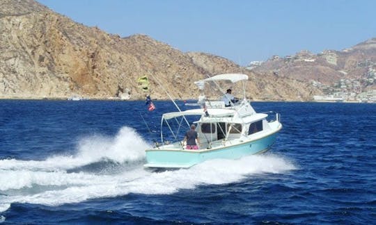 Pêcheur sportif Bertram de 31 pieds à Cabo San Lucas, Mexique